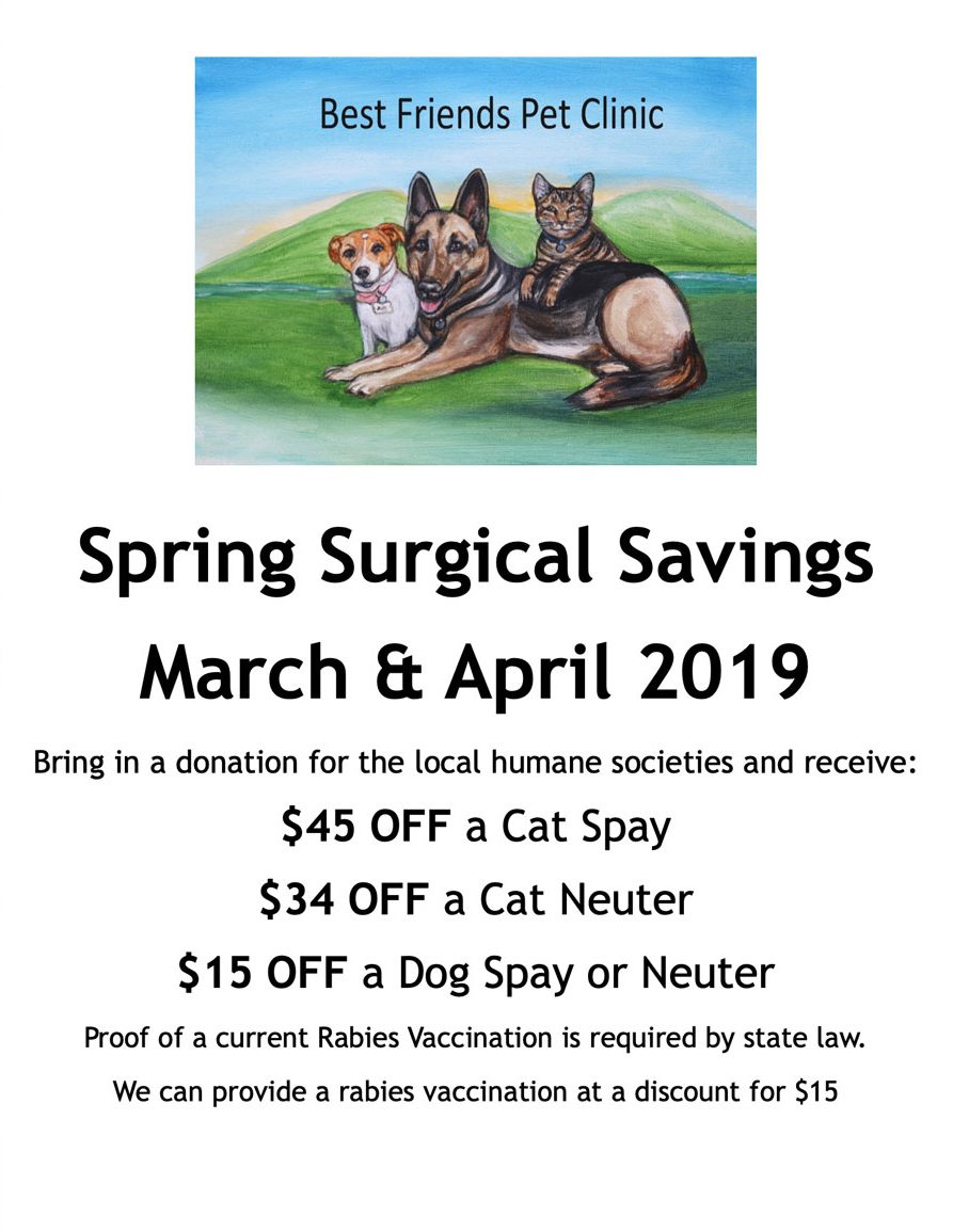 Veterinarian Specials in Galesville, WI Best Friends Pet Clinic