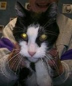 390-a444baa9fad0 - 1