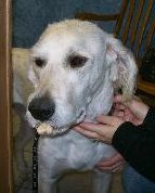 aac-cf7637697de0 - 1