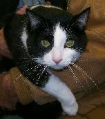 aef-89e99bbb8895 - 1