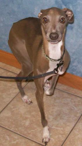 b75-8624177b00c2 - 1