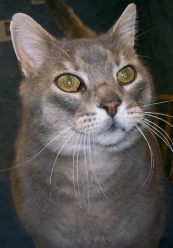 b91-b5bb644b2e07 - 1