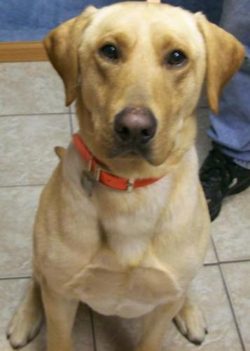 e02-14766c7eb7e8 - 1