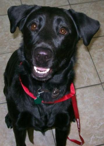 fdb-5b1ba343c38c - 1